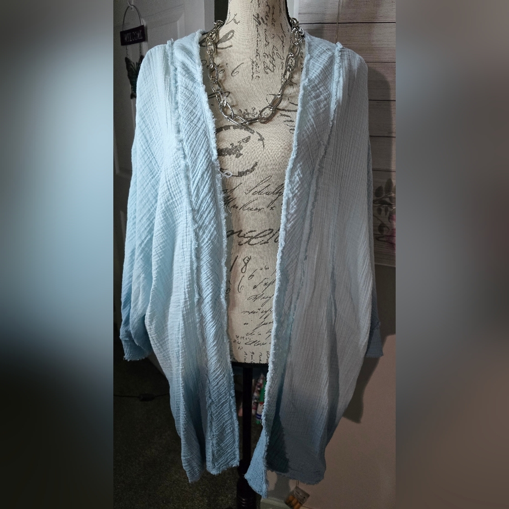 Wonderly Light Blue Blouse